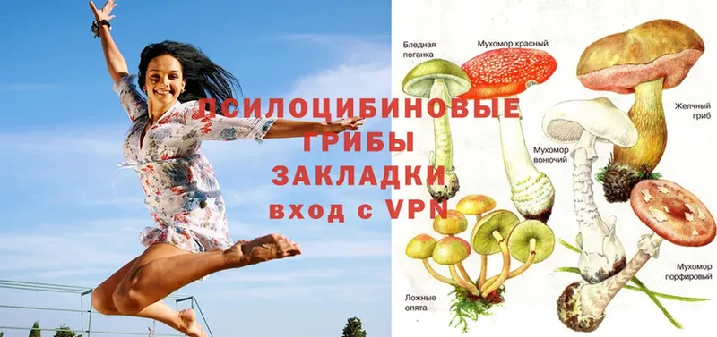 цены   Нижневартовск  OMG ссылка  Галлюциногенные грибы Psilocybe 